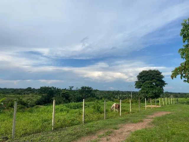 OPORTUNIDADE!!      FAZENDA - MARABÁ/PA - 45 Alqueires - Foto 5