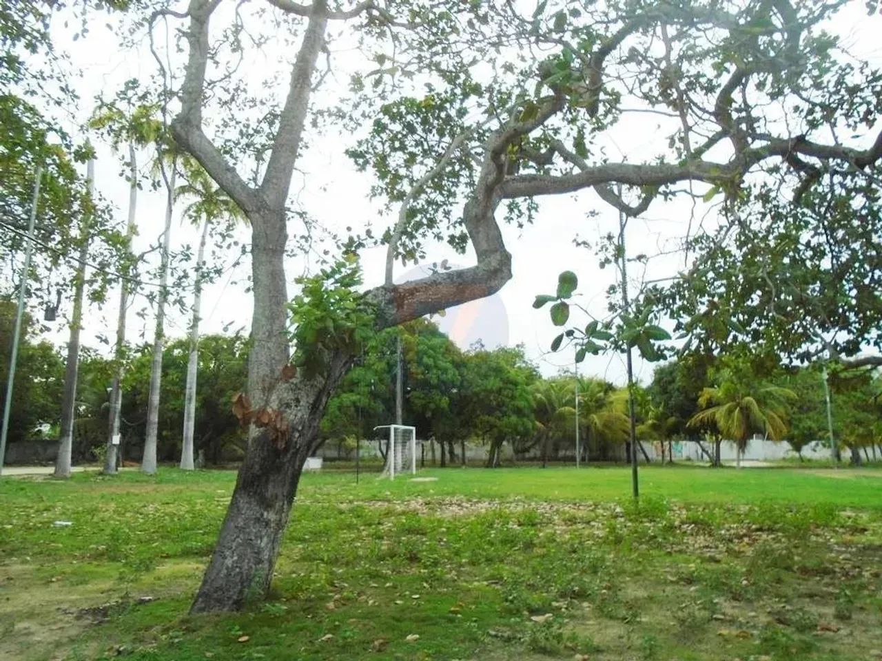 Locação de Terreno / Padrão na cidade de EUSÉBIO - Foto 3