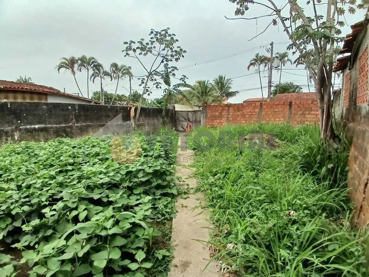 Terreno à venda, 1000 m² por R$ 1.300.000,00 - Jardim Brasil - Caraguatatuba/SP - Foto 4