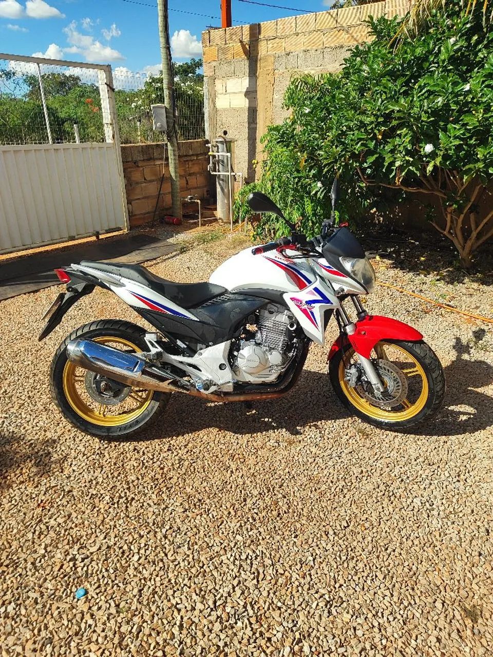 Cb300 R  - Foto 2