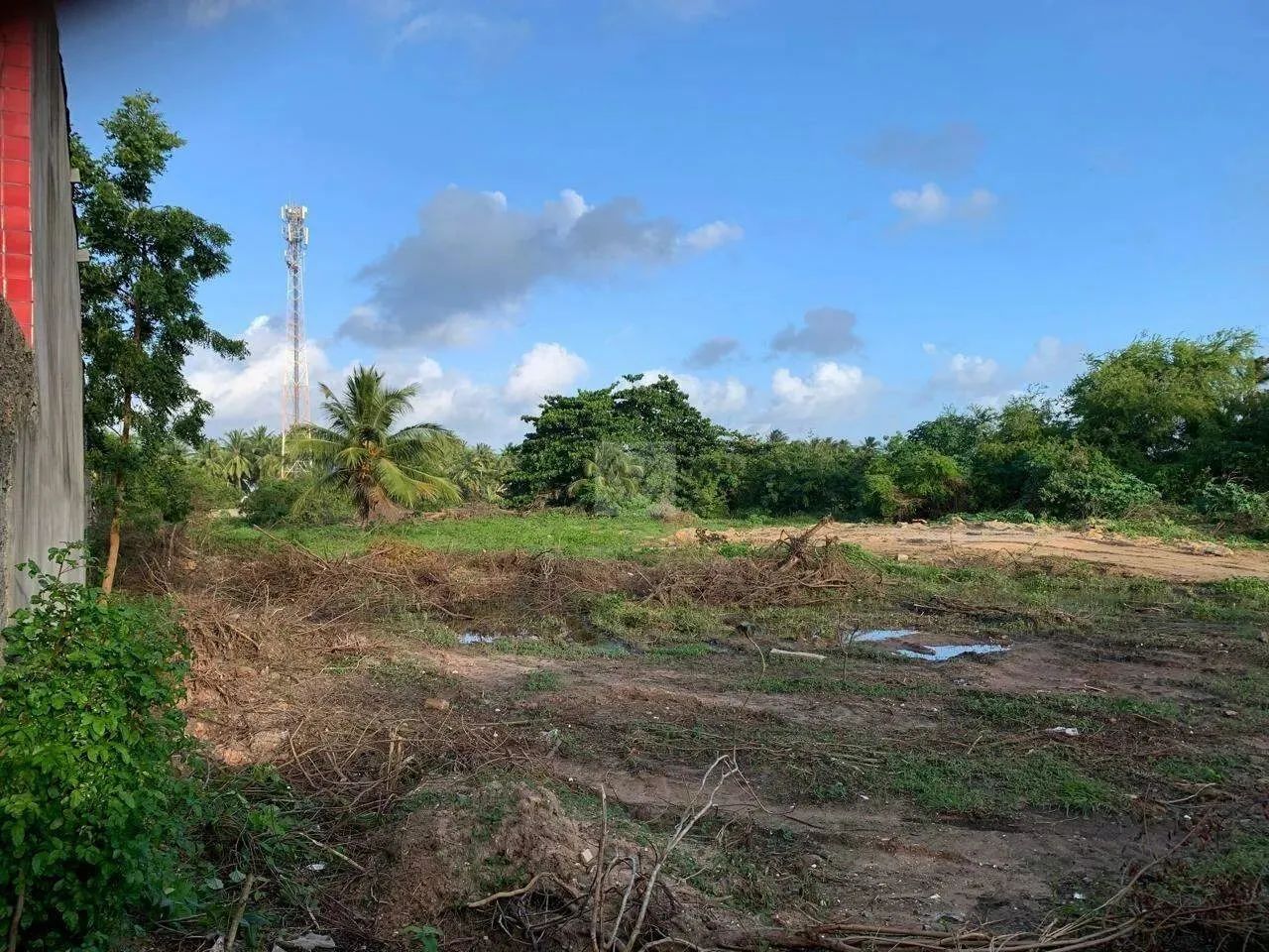 Excelente terreno para abri o seu negócio. - Foto 4