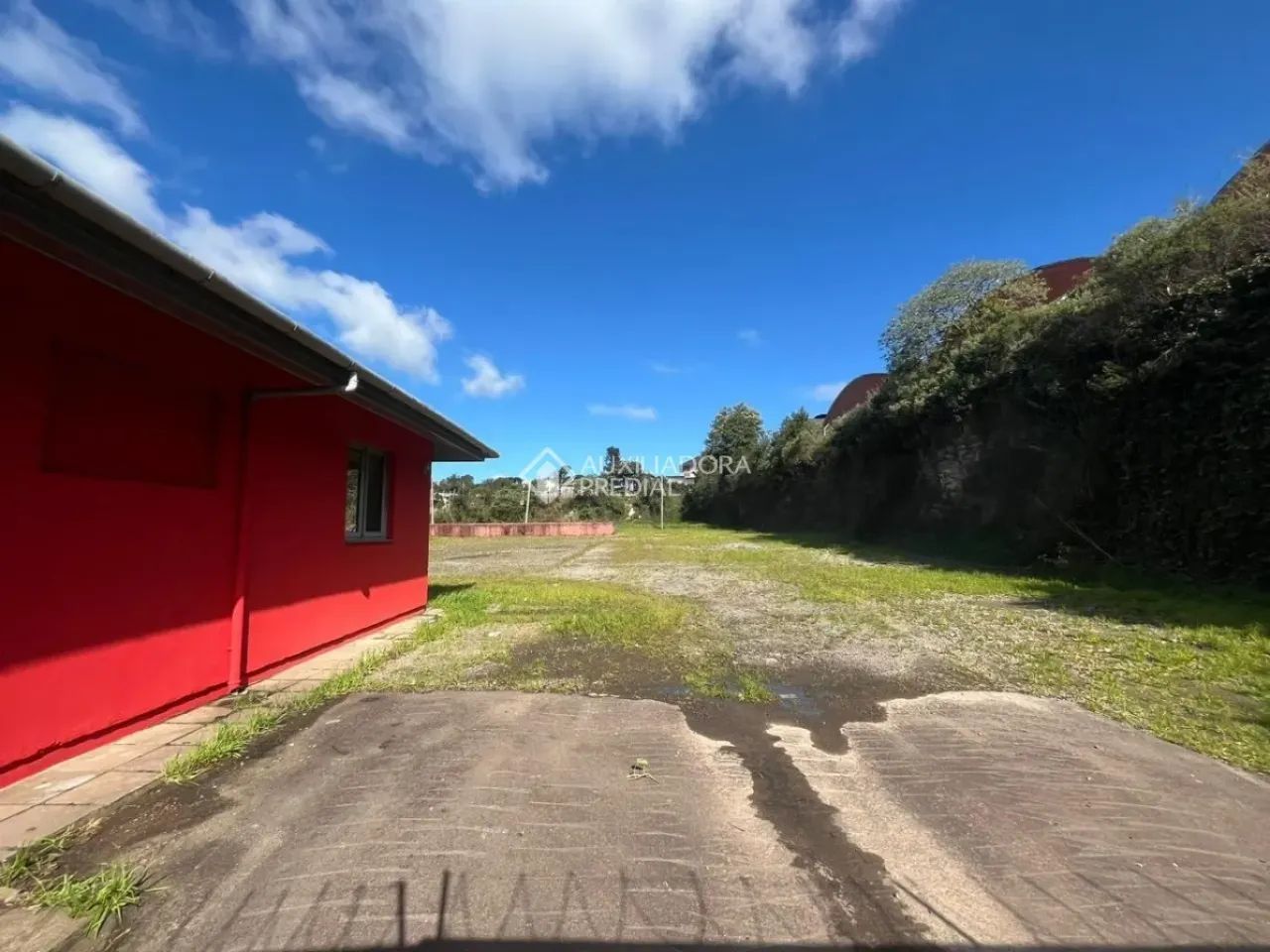 Comercial no bairro Eugãªnio Ferreira - Foto 4