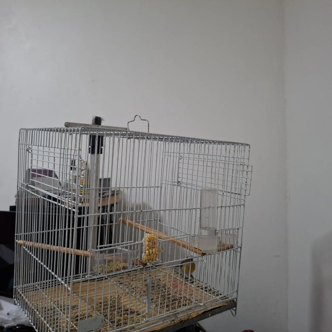 Gaiolas Pet Reprodução 