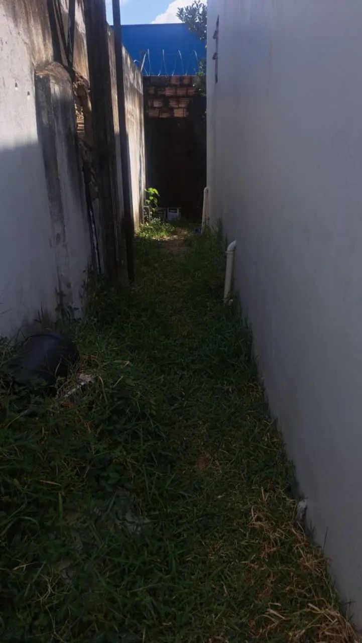 Limpeza de quintal - Foto 4