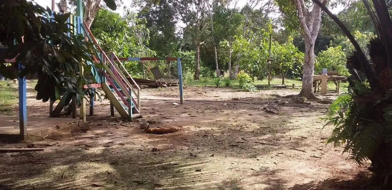 Sítio e chácara  no az3 - Foto 5