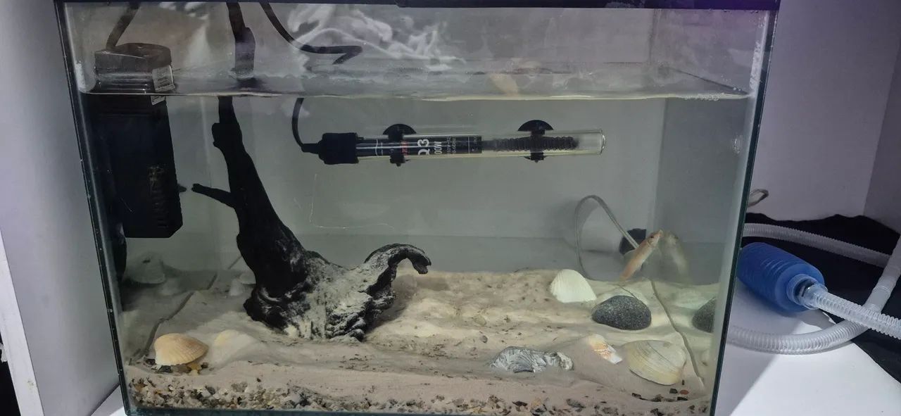 Aquario de 30L Montado! - Foto 2