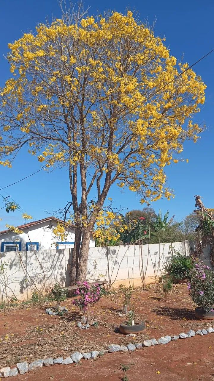 Vendo ou troco  - Foto 5