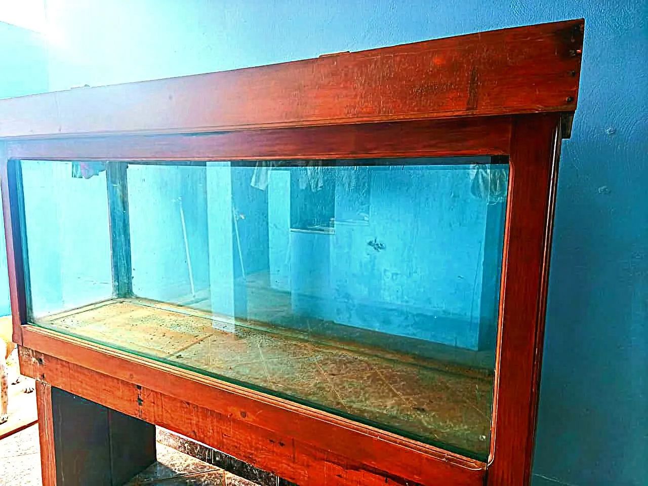 Aquário 500 litros