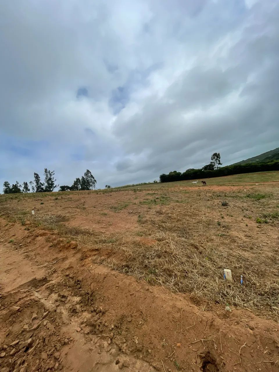 Terreno 8x20 em Pombos - Foto 2