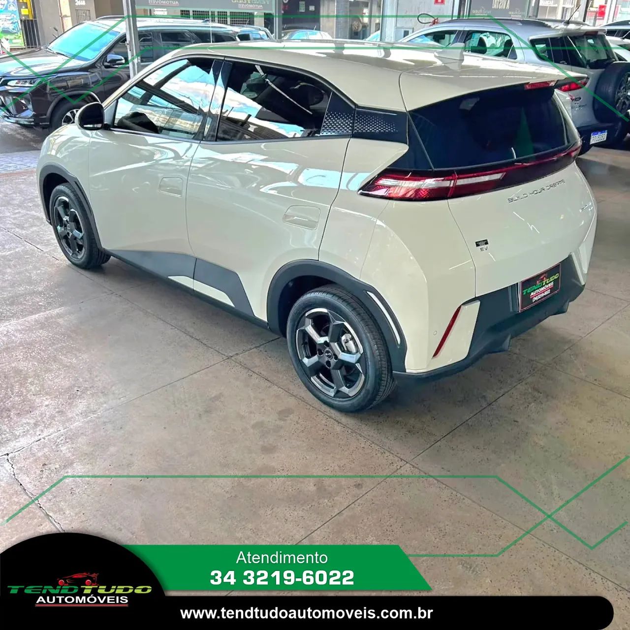 BYD Dolphin Mini (Elétrico) 2025 - Foto 4