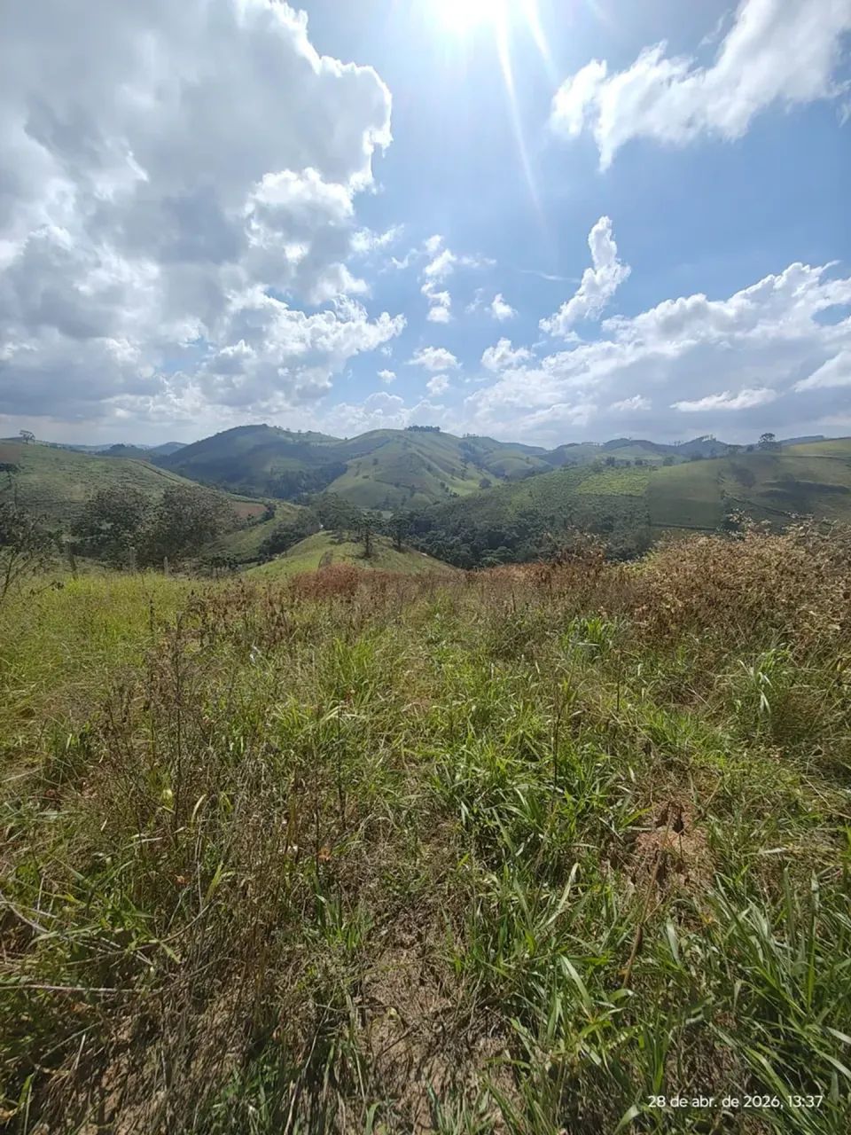 Terreno com 20 hectares em Maria da Fé MG - Foto 5