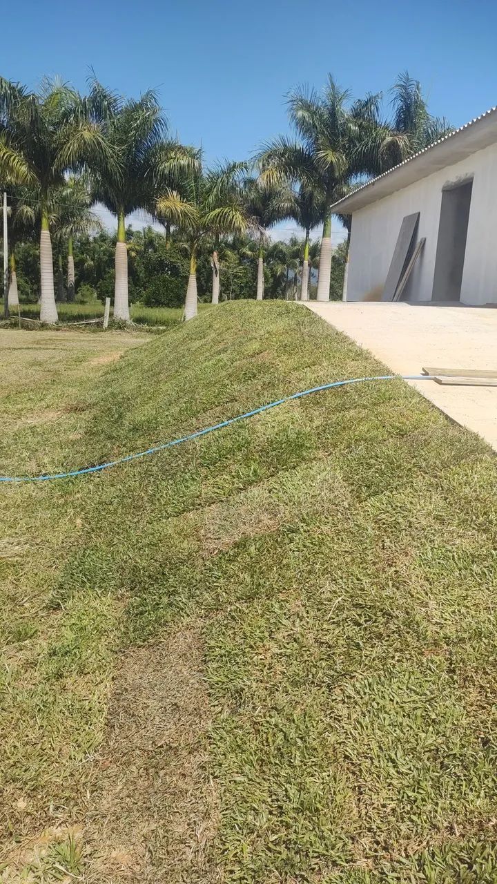 Zé jardinagem em geral  - Foto 4
