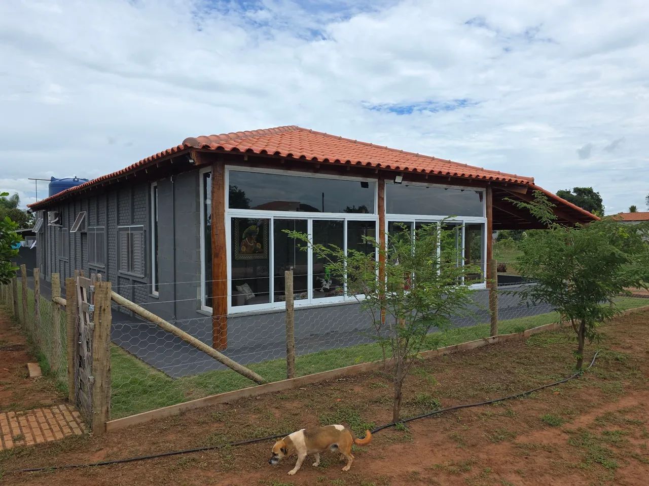 Foto - Uberlândia - 