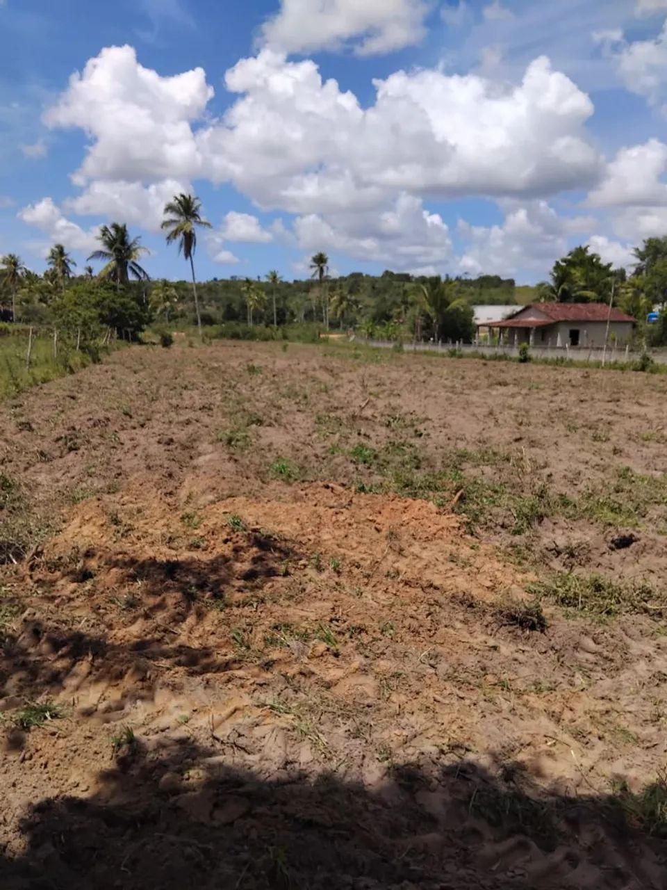 Terreno em Povoado Lagoão, Salgado em Sergipe  - Foto 4