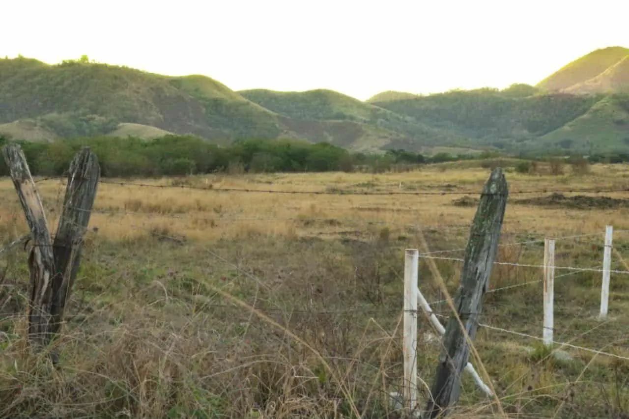 CHÁCARAS C/1.500 m2 EM SEROPÉDICA km54  - Foto 3