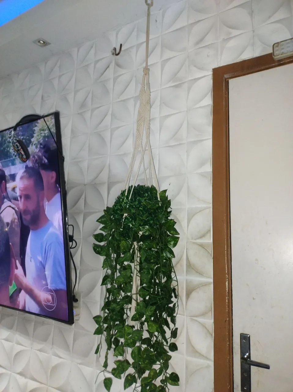 Vaso com planta 