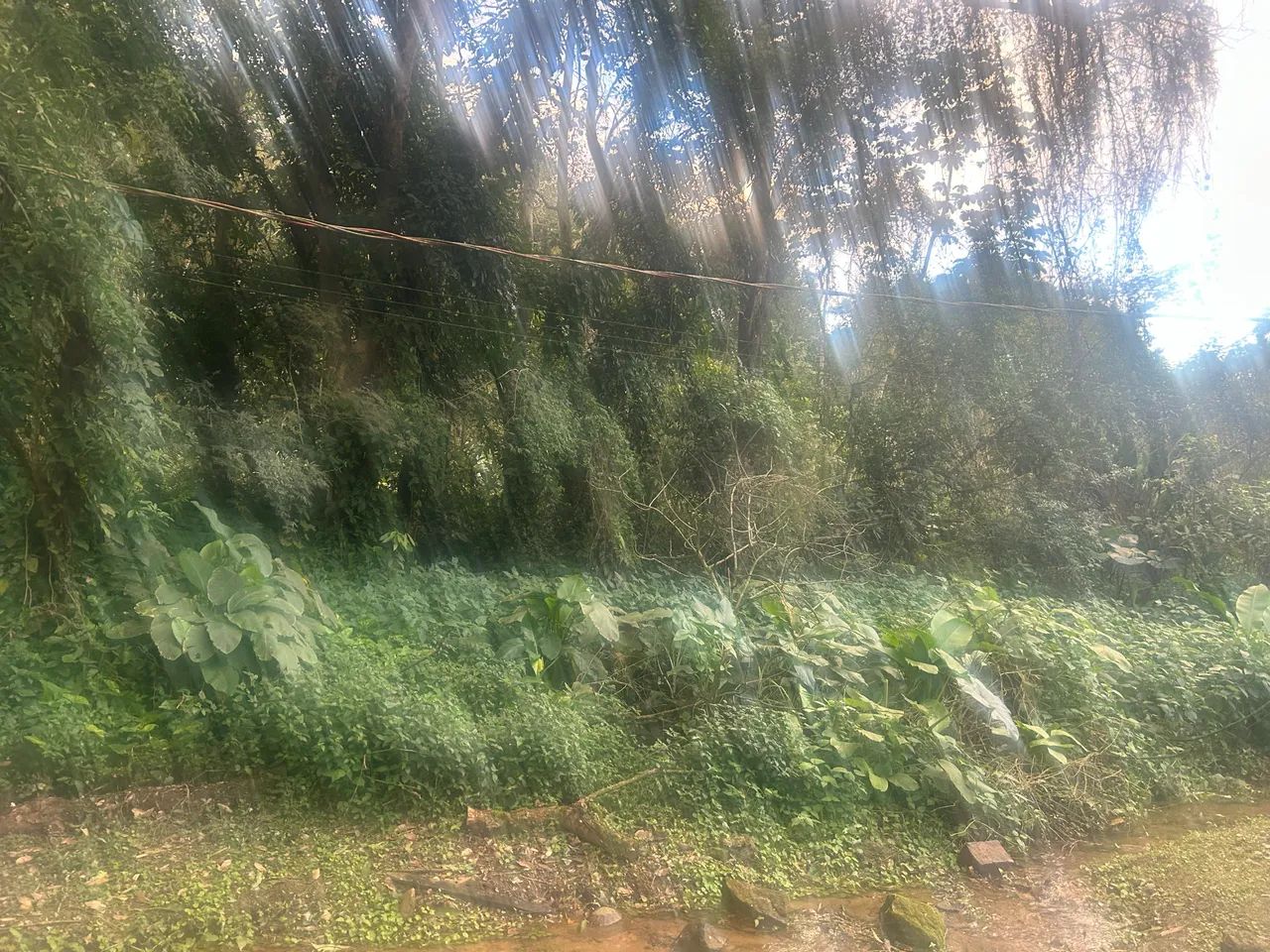 Vargem Grande  - Foto 4