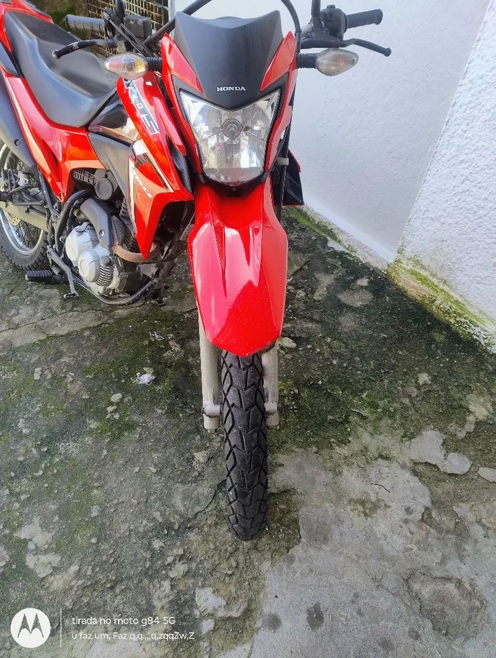 Bros 2021/2022 - Foto 4