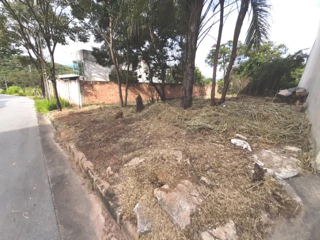 Lote Bairro Liberdade - 253,61 m² - Foto 2