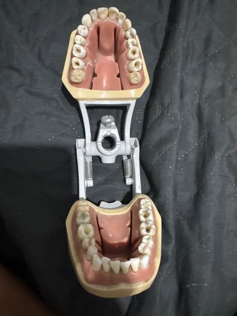 Manequim de endodontia  - Foto 3
