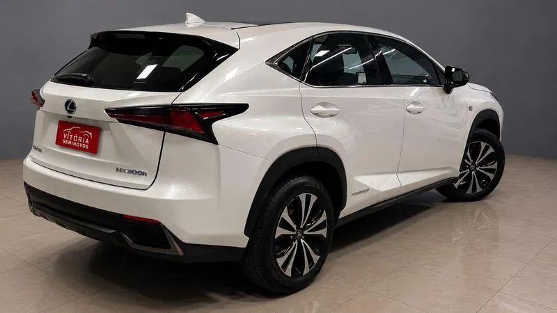 Lexus NX-300 H F-sport 2.5 16V Aut., foto 6 de 19