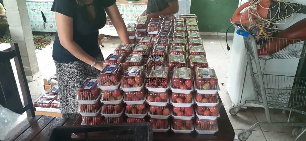 FAZENDA LAZER / MORADIA em ELDORADO - SP, RURAL - Foto 2