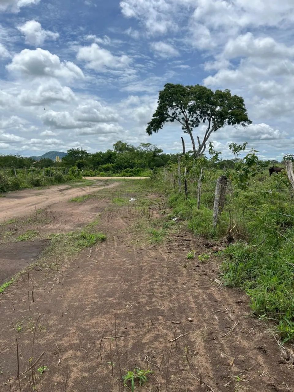 LOTE ANGUERA 200m² - Foto 4
