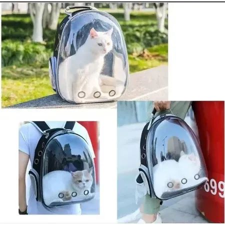 Mochila de transporte para animais de estimação, bolsa de viagem para gatos, transparente,