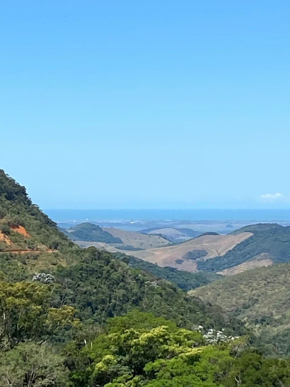 Foto - Vitória - Mata da Praia