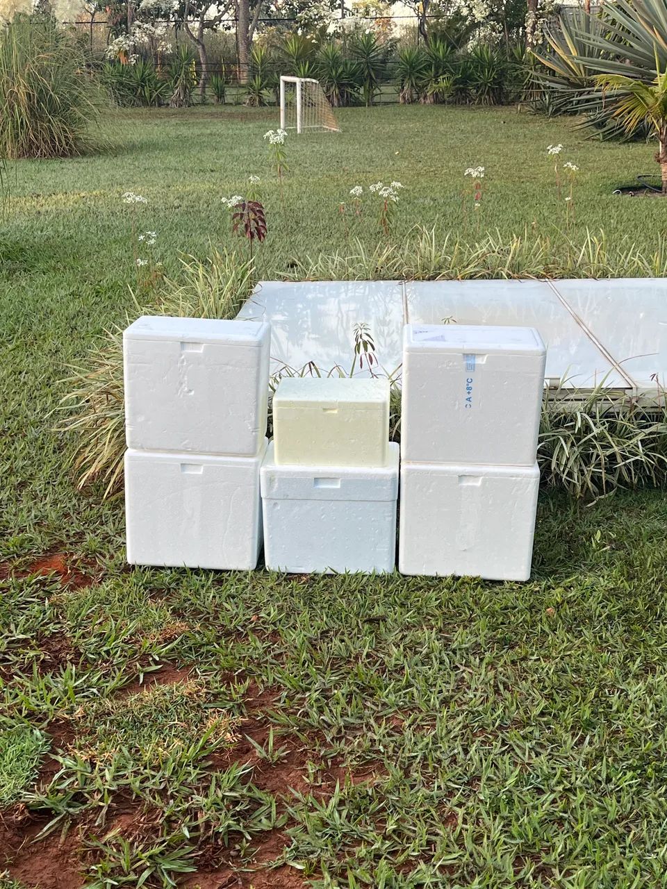 Caixas de Isopor