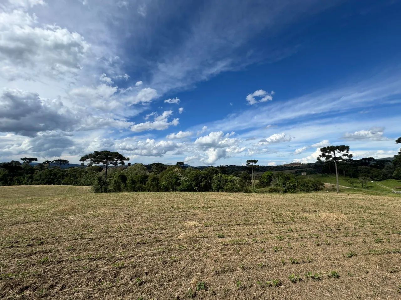 Terreno, otimo, muito bem localizado e apto para qualquer tipo de negócio  - Foto 2