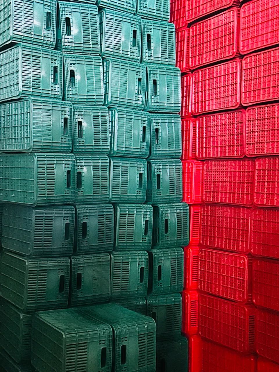 Caixas Plásticas Caixas Organizadoras Caixas hortifruti  - Foto 4