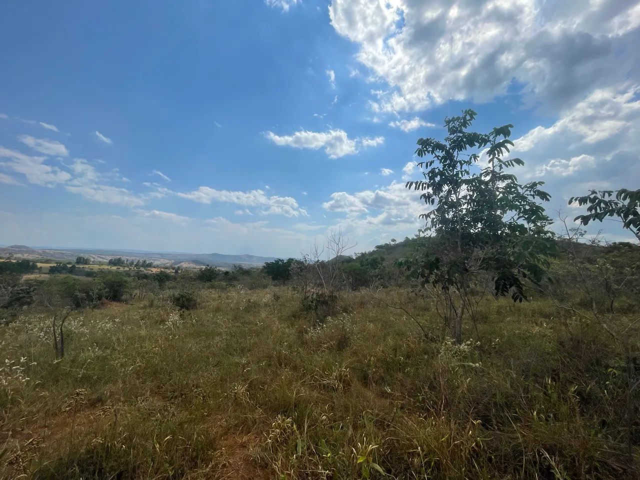 VENDE-SE ? ÁREA DE 20.000 m² próximo à Pirenópolis  - Foto 4