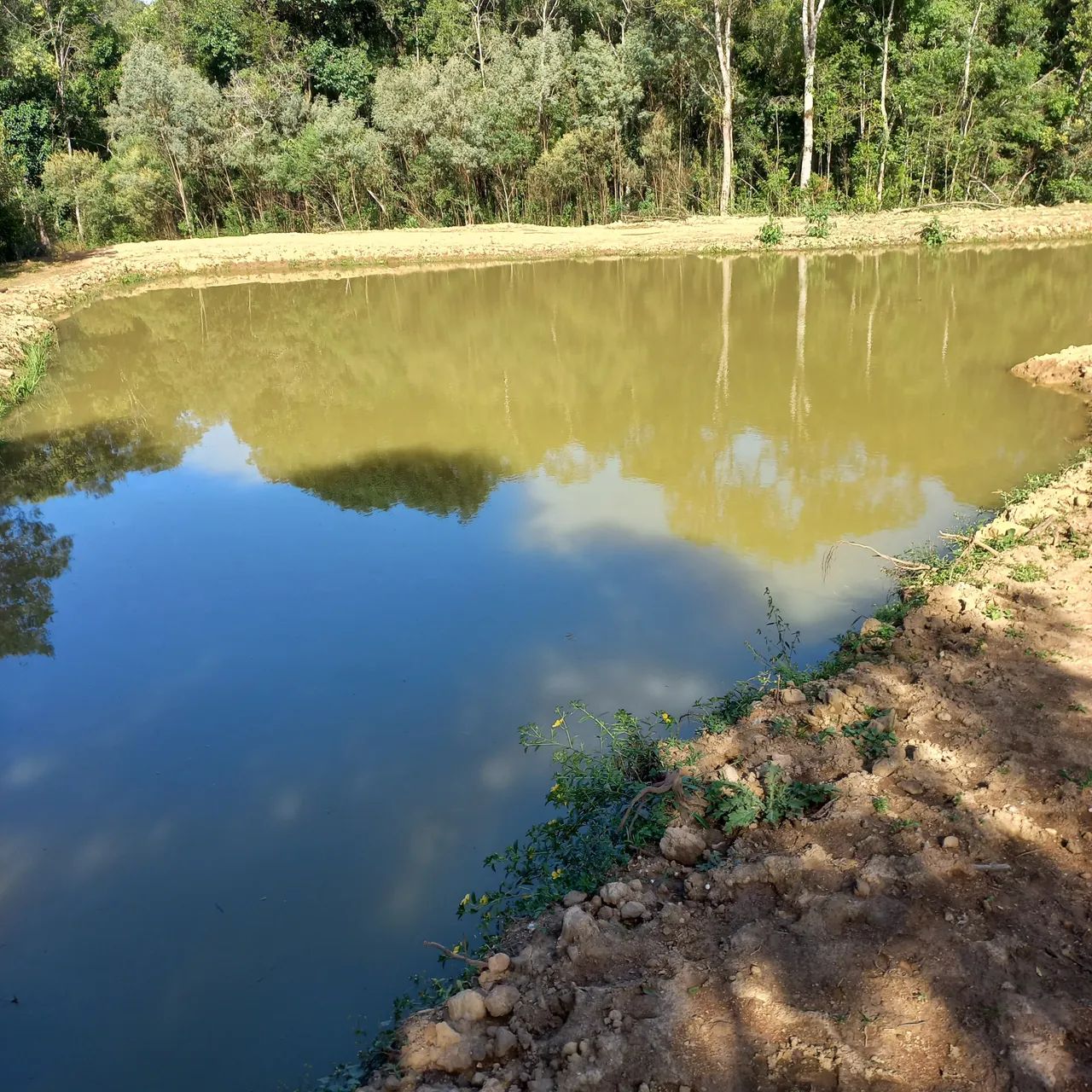Chácara em Sta. Felicidade - 2.500 m2. - Foto 2