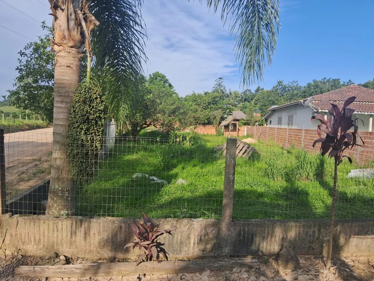 Terreno à venda em Imaruí/SC - Foto 2