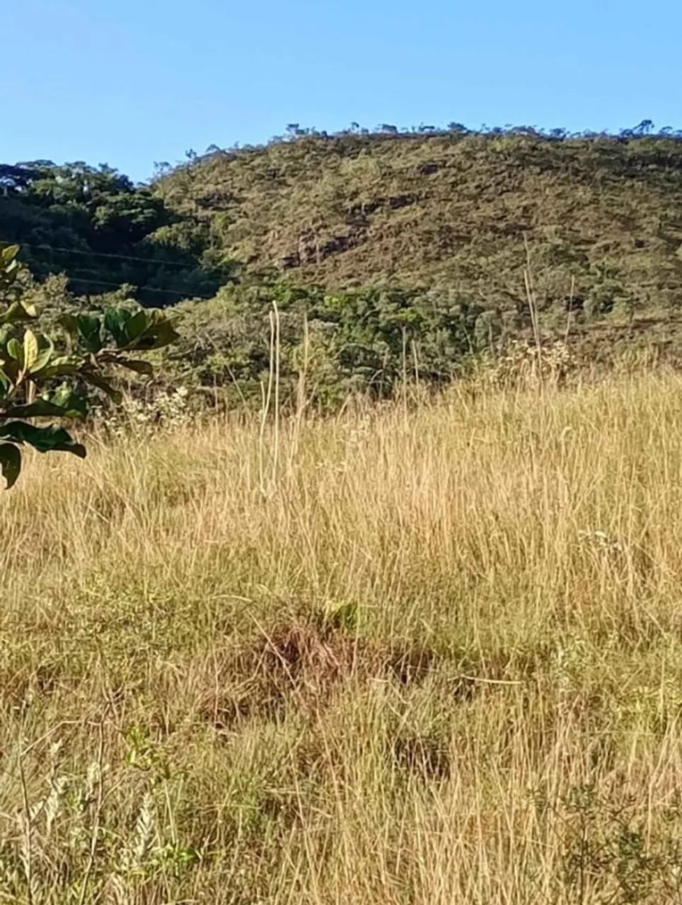 Sítio 10 Hectares com Cachoeira e Rio  - Foto 2