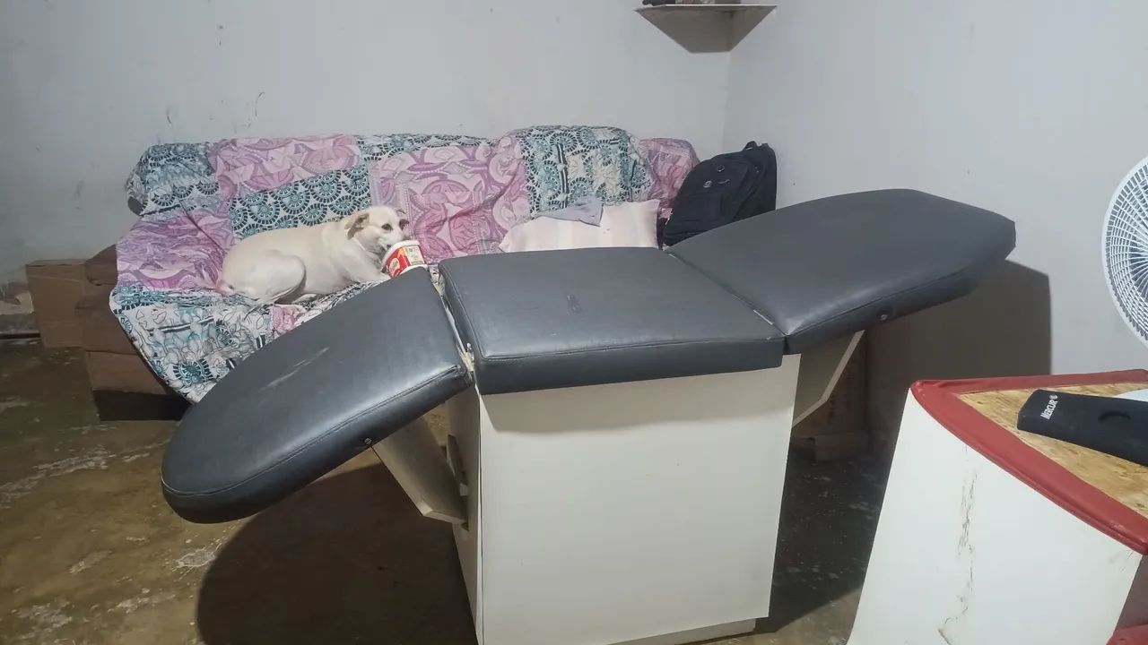 Maca projetada  - Foto 3