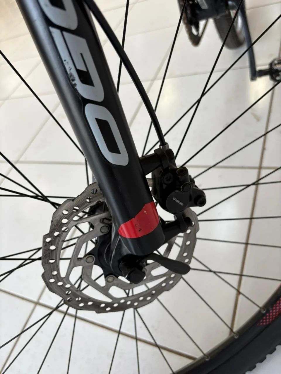 Bicicleta Oggi