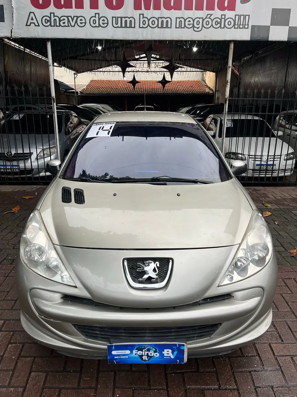 Peugeot 207 207 Active 1.4 Flex 8V 5p 2014
