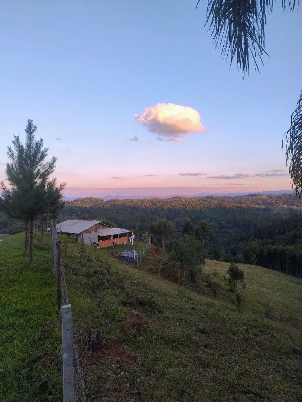 Chácara 4 alqueires e meio ,No interior De Campo Largo  - Foto 5