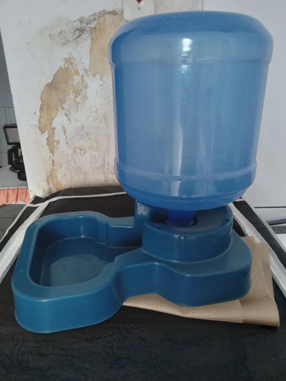 Bebedouro para cachorro ? 