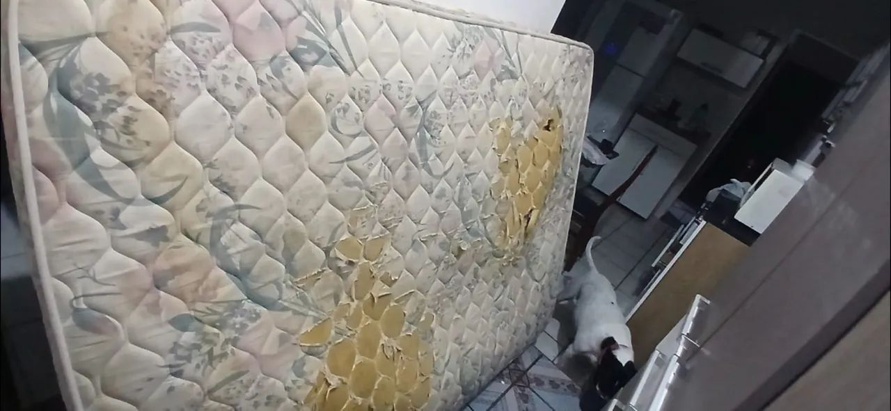 Colchão para retirada - Foto 3