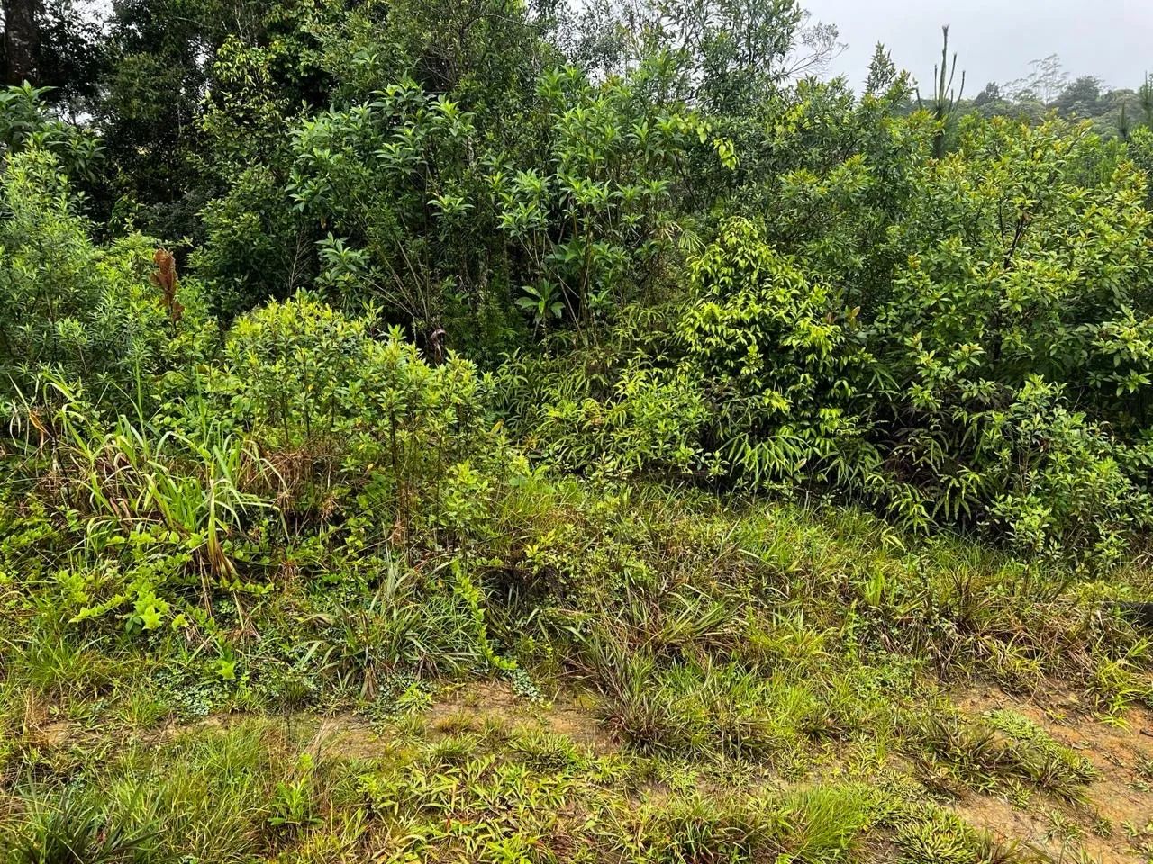 TERRENO À VENDA - EMBU-GUAÇU/SP