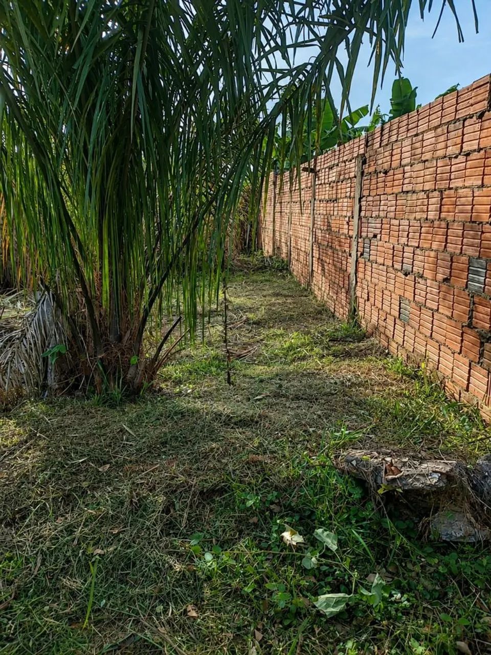 VENDE-SE TERRENO  - Foto 3