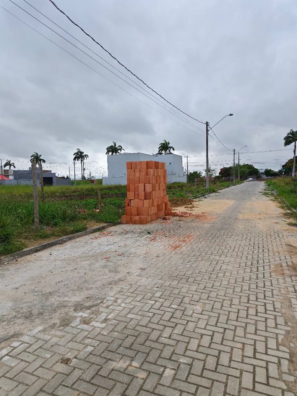 Lote Parque das Palmeiras  - Foto 4