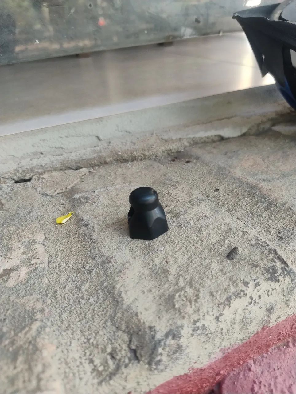 Carlotinha 