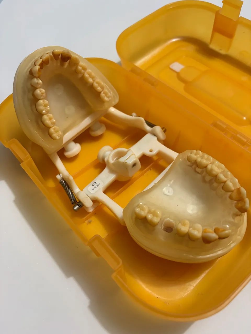 Manequim Odontológico  - Foto 3