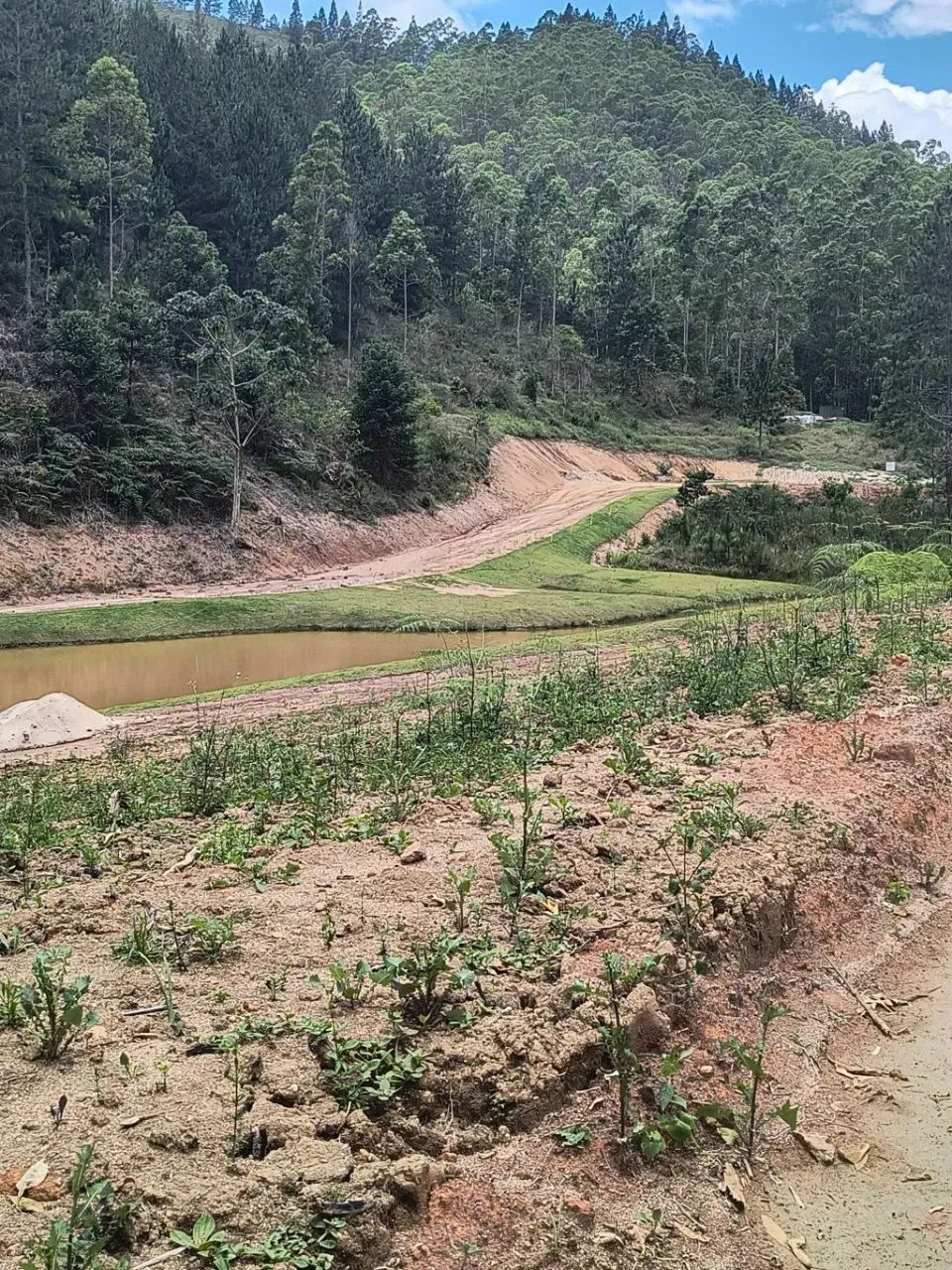 Terreno em Arace, Pedra Azul. - Foto 4