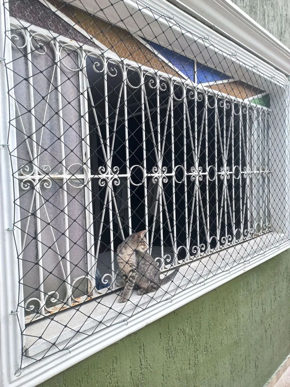 Telas de Proteção  - Foto 3