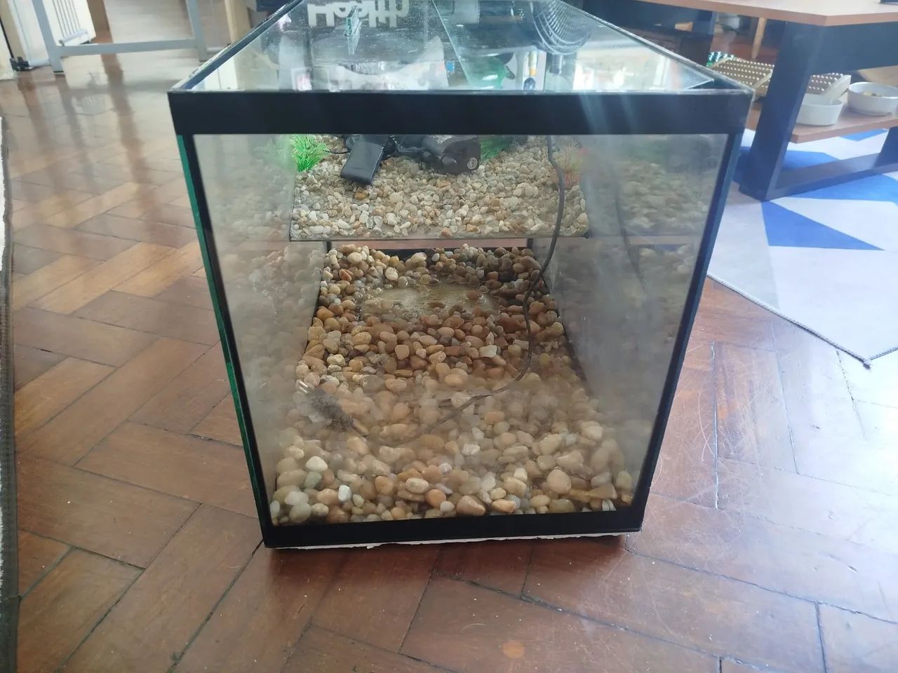 Vendo Aquário com Plantaforma  - Foto 2